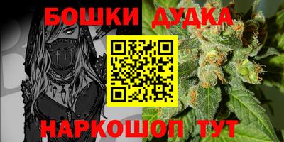 индика Тара