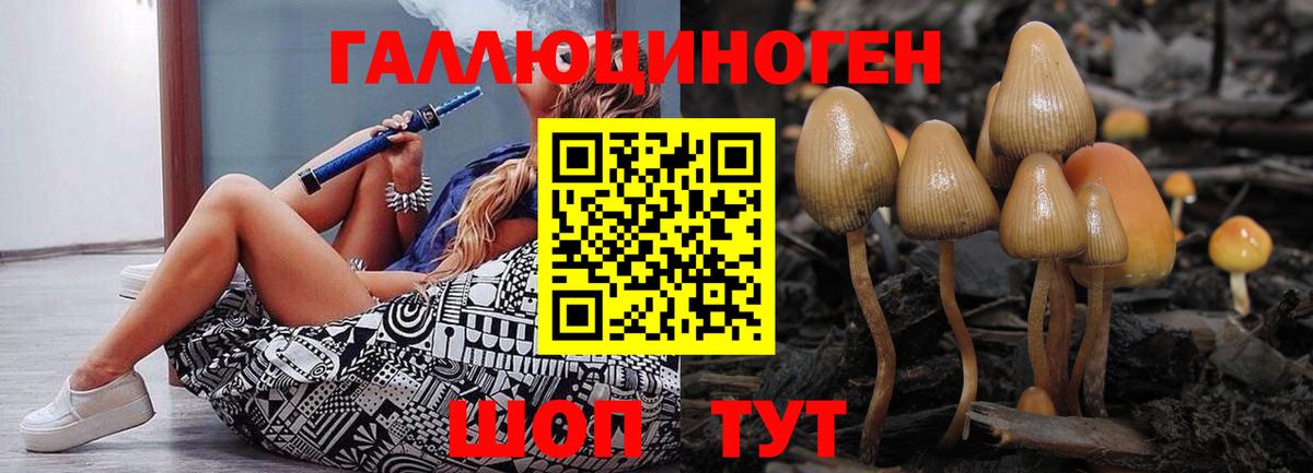 Галлюциногенные грибы Magic Shrooms  Вход с VPN  Отрадный 